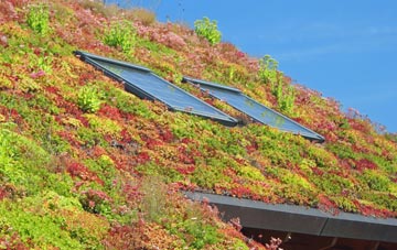 Cotebrook living roof systems