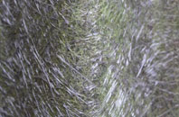 Cotebrook fibreglass roof work